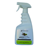 Vrindavan Mould Solution Surface Spray 750ml